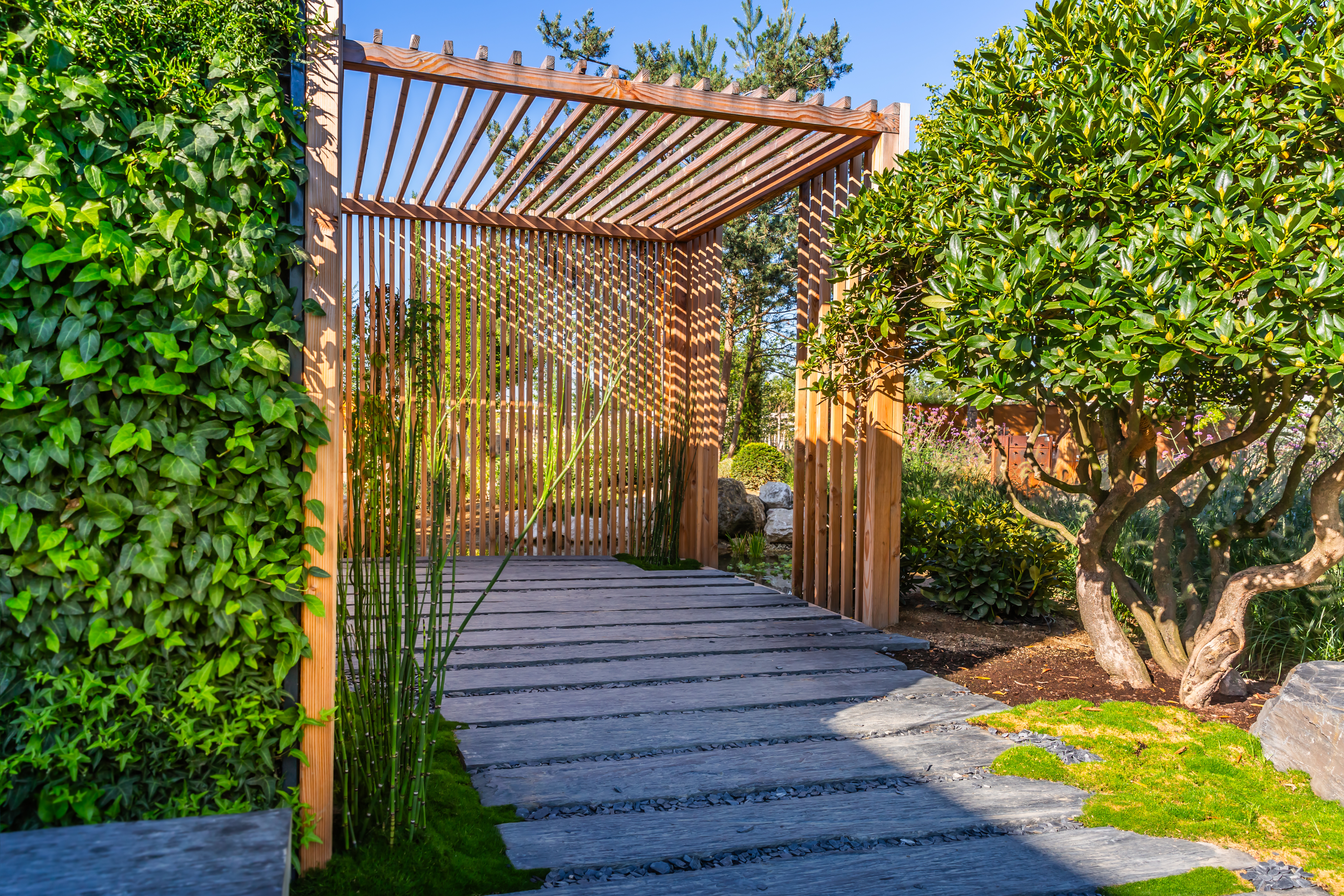 Illuminated blue lanterns hang under a pergola at dusk, creating a warm, inviting ambiance.